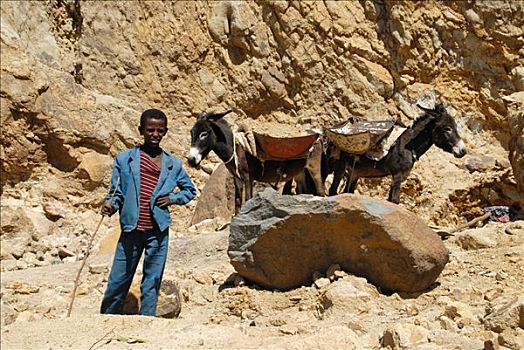 男孩,两个,装载,驴,采石场,靠近,阿克苏姆,埃塞俄比亚