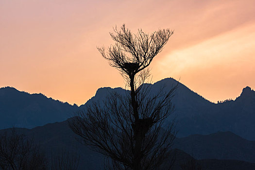 贺兰山阙