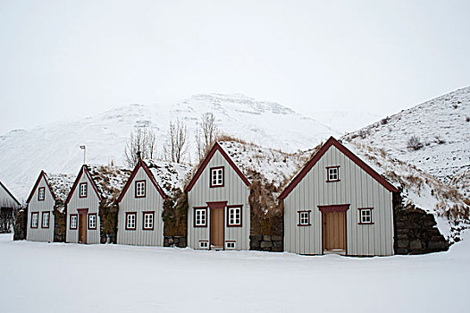 老,农舍,海岸,北方,冰岛
