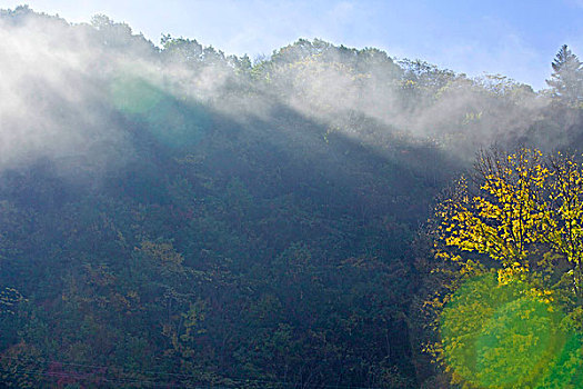 阳光,透射,光柱,山坡,植被,自然,风光,云雾