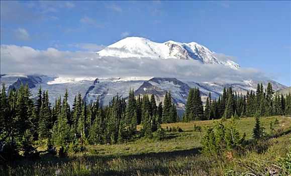 顶峰,雷尼尔山,山,国家公园,华盛顿,美国,北美