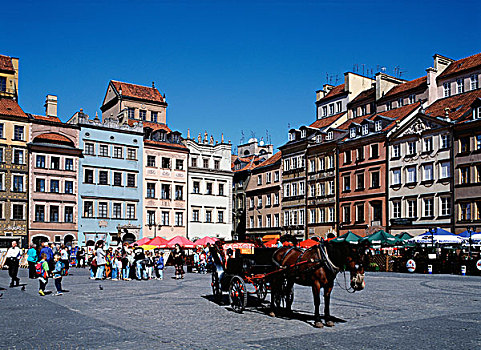 市场,马车,华沙,波兰,欧洲