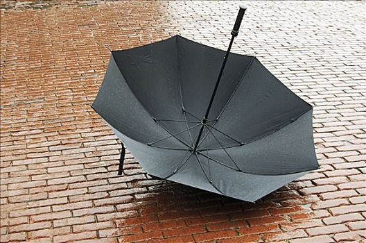 伞,躺着,湿,鹅卵石