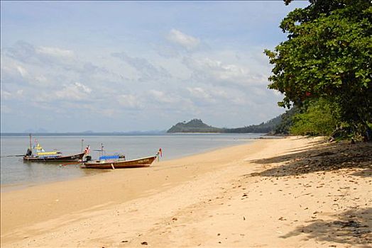 孤单,沙滩,两个,苏梅岛,泰国