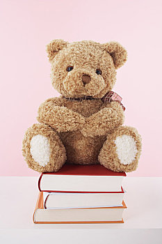 肖像,泰迪熊,坐,书本