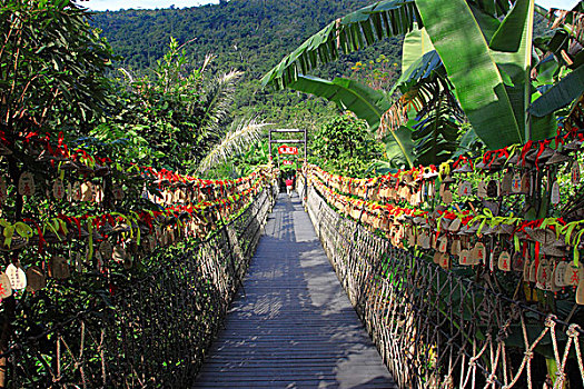 三亚呀诺达雨林文化旅游区