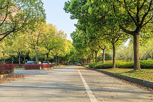 中国上海交通大学校园风光