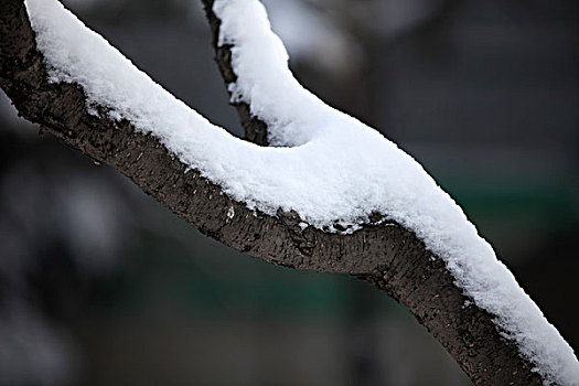 大雪,洁白,干净,寒冷,白色,覆盖,扫雪,便道,雪景,行走