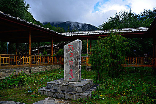 南伊沟原始森林风景