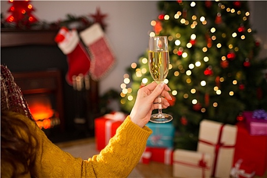 红发,拿着,玻璃,香槟,沙发,圣诞节