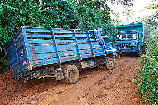 卡车,拖拉,室外,泥,丛林,小路,喀麦隆,非洲