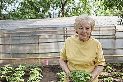 老年,女人,拿着,植物,温室,背景