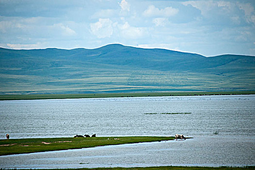 内蒙古呼伦贝尔满洲里根河湿地
