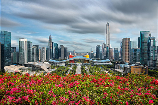 深圳市,福田,cbd,全景