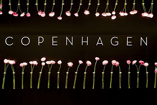 文字,哥本哈根,环绕,花