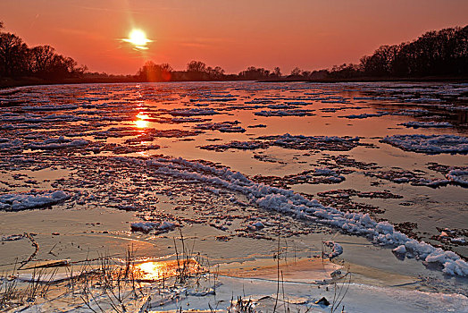 冰,小,浮冰,日落,生物保护区,中间,萨克森安哈尔特,德国,欧洲