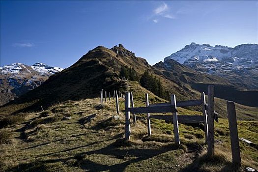 木篱,瑞士,欧洲