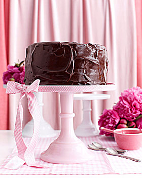 巧克力,分层蛋糕,粉色,站立