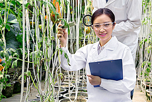 正在大棚里进行科学研究的女士