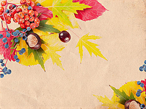 秋天,背景,黄色,红叶,花楸果,栗子,落下,叶子,旧式,纸