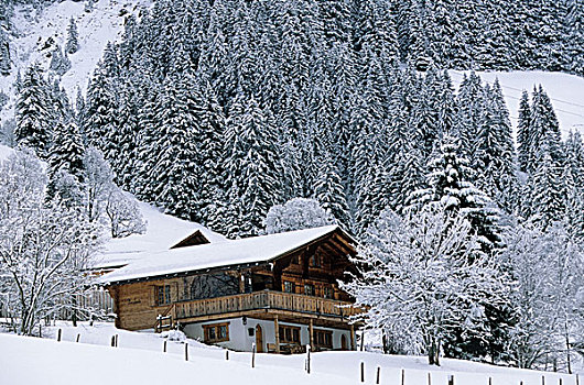 木房子,雪,山,瑞士