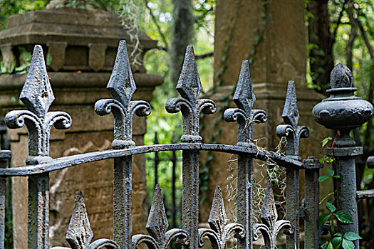 铸铁,栅栏,老,教堂,墓地,查尔斯顿,南卡罗来纳,美国