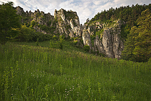 石灰石,山谷,波兰