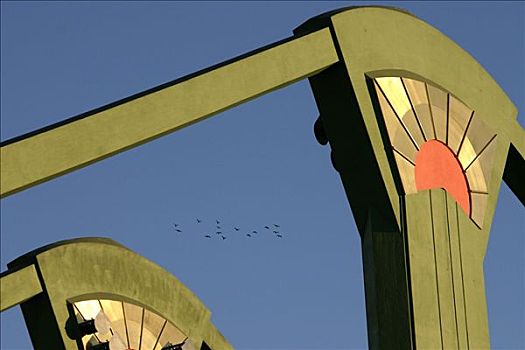 德国,法兰克福,2003年,鸟,上方,桥,成群,航行,悬挂,塔