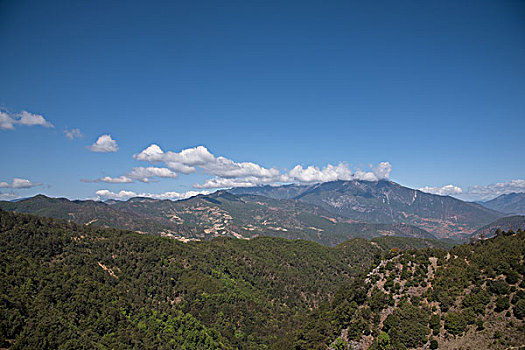 高山云雾