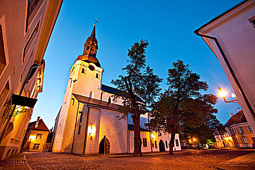大教堂,城堡区,老城,世界遗产,塔林,爱沙尼亚,波罗的海国家,北欧