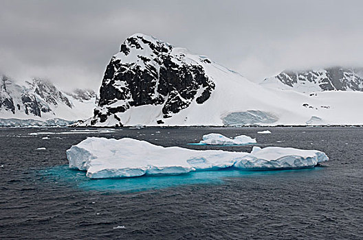 浮冰,岛屿,南极半岛