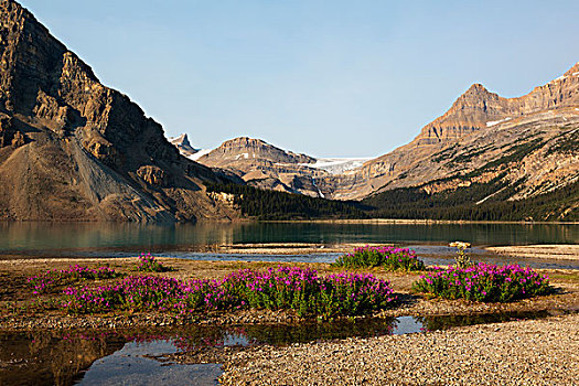 加拿大,艾伯塔省,碧玉国家公园,弓湖,冰河,瀑布