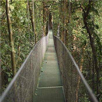 吊桥,哥斯达黎加