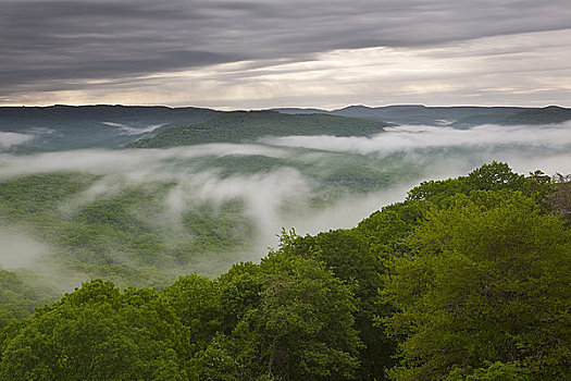 雾,上方,山峦,国家森林,阿肯色州,美国