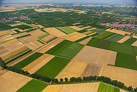 地点,靠近,农业,乡村,蠕虫,莱茵兰普法尔茨州,德国