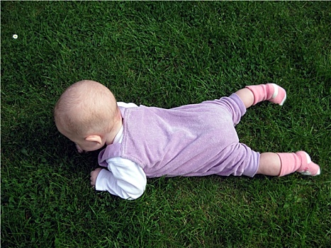 婴儿,草地