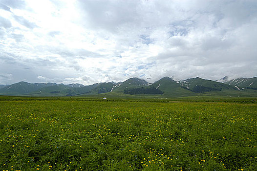 新疆伊犁那拉提草原风光