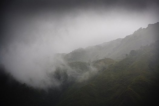 雾,山坡,岛屿,苏门答腊岛,印度尼西亚