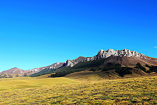 高原草场