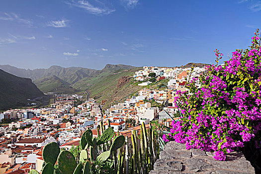 风景,城镇,花,叶子花属,正面,圣塞巴斯蒂安,加纳利群岛,西班牙,欧洲