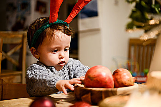 男婴,圣诞节,鹿角,注视,石榴,桌上