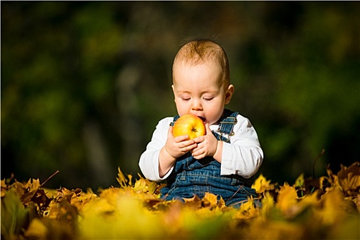 健康饮食,婴儿,苹果