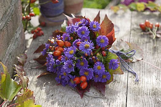 小,花束,紫苑属,玫瑰,叶子