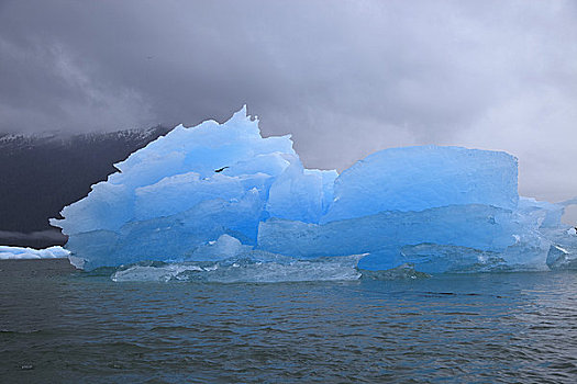 冰河,海洋,阿拉斯加,美国