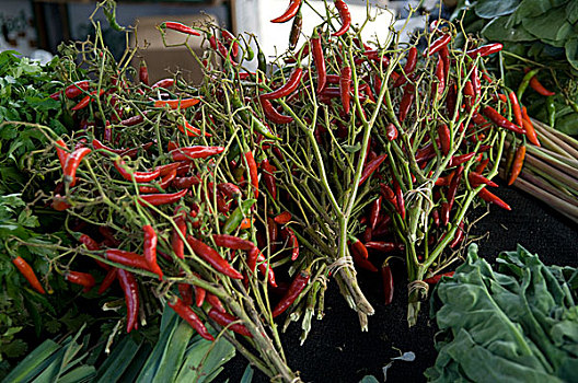 红色,辣椒,加利福尼亚,农民,市场