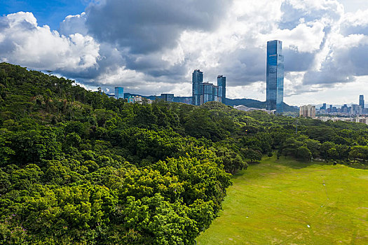 深圳莲花山公园