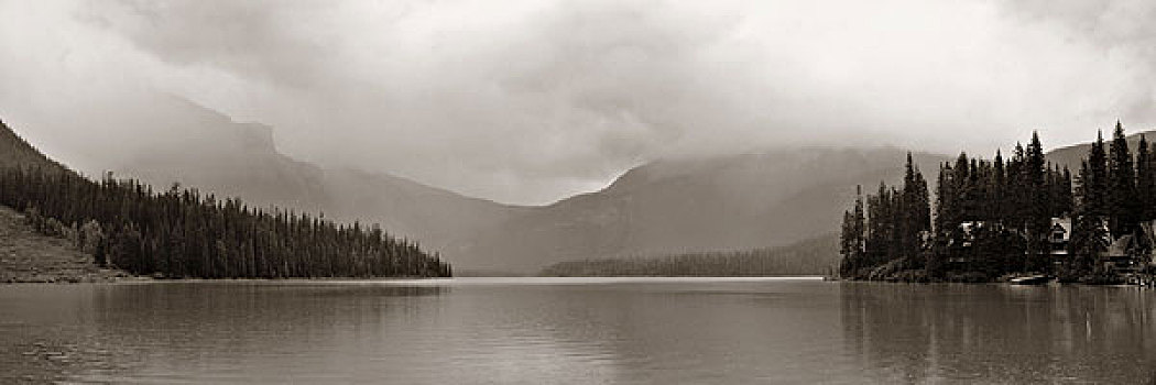 翡翠湖,雾,幽鹤国家公园,加拿大