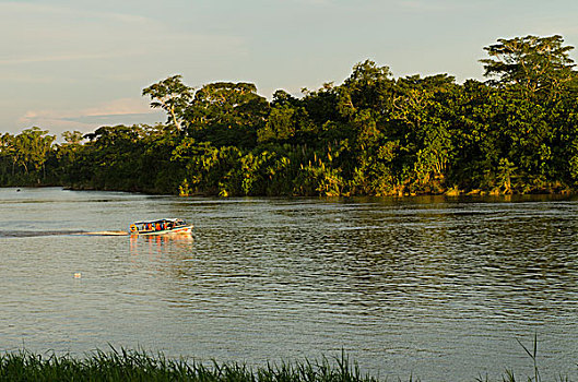 摩托艇,河,亚马逊河,厄瓜多尔