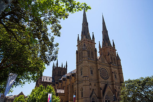 澳洲悉尼圣母玛利亚大教堂