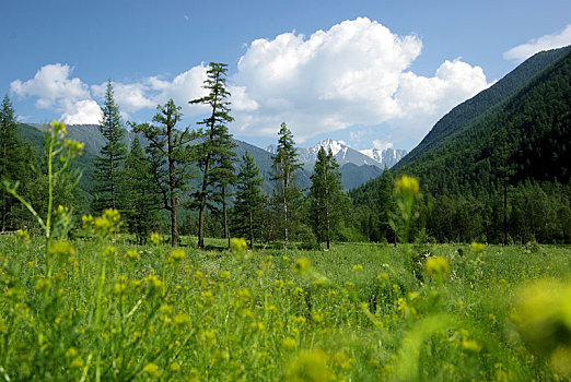 山景,高地,山峰,峡谷,山谷,石头,斜坡